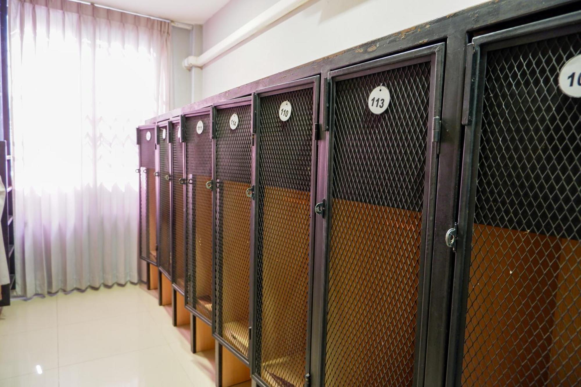 פאטאיה 18 Coins Budget Hotel מראה חיצוני תמונה